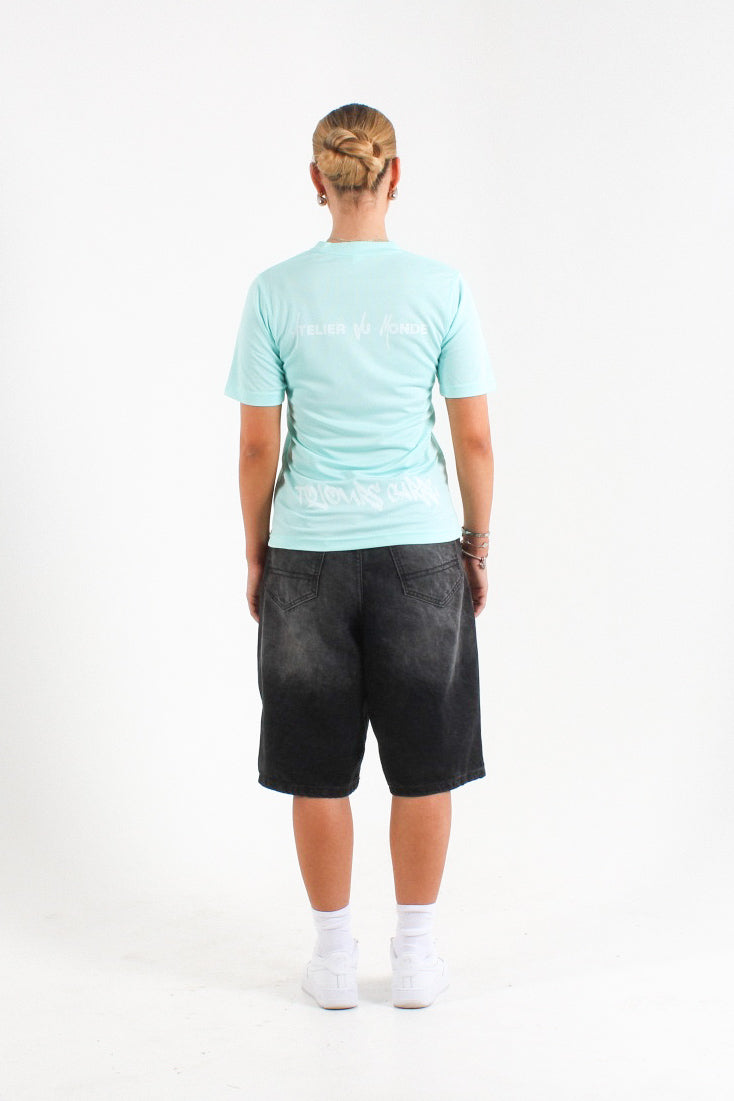 #farbe_turquoise
