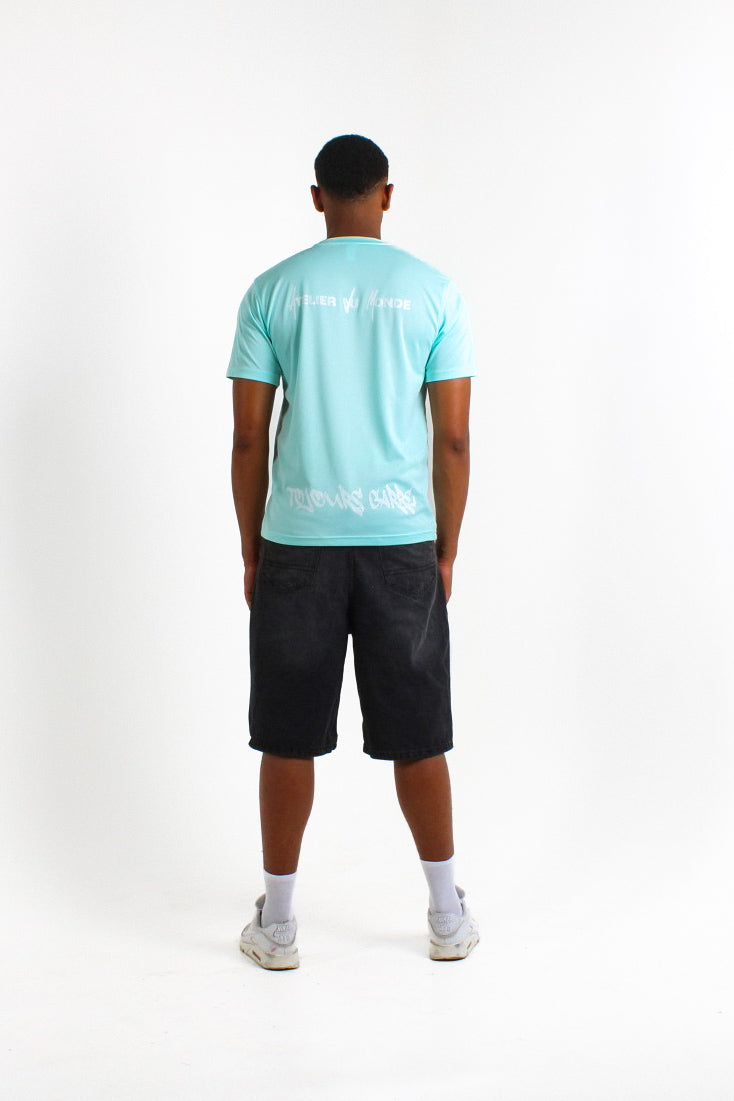 #farbe_turquoise